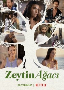 Zeytin Ağacı 3x1 episode