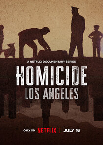 Homicide 3x1 episode