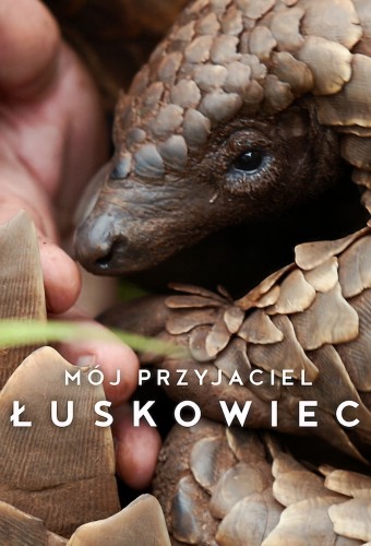 Pangolin: Kulu’s Journey