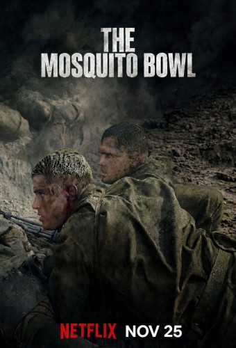 The Mosquito Bowl