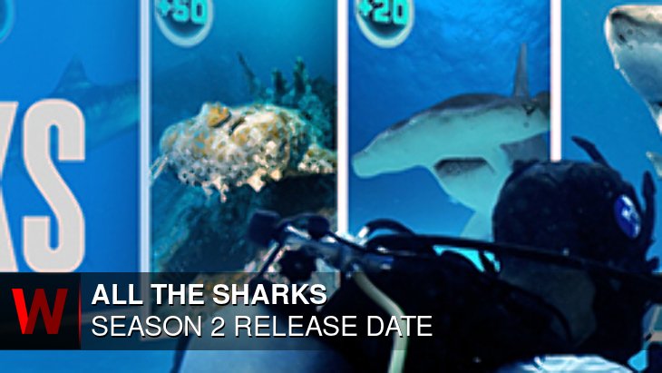 All the Sharks Season 2: Premiere Date, Trailer, Cast and News