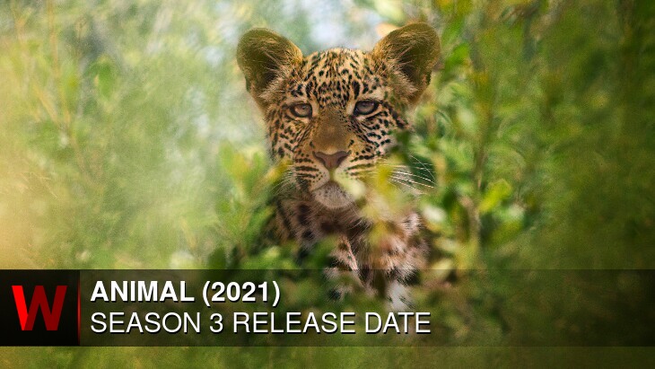 Animal (2021) Season 3: Release date, News, Trailer and Cast