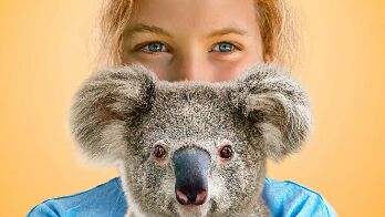 Izzy's Koala World Season 3