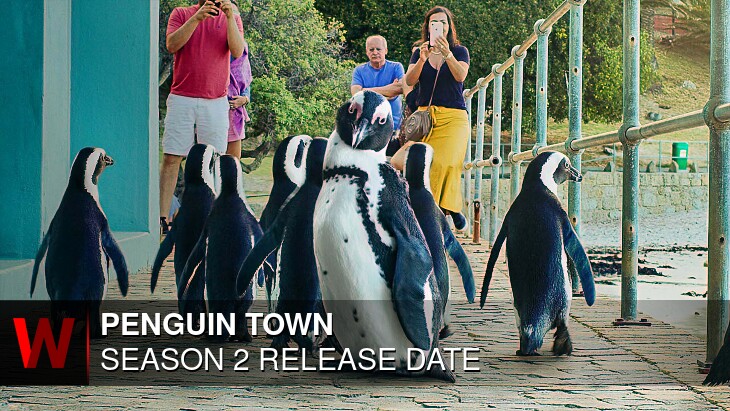 Penguin Town Season 2: Premiere Date, Cast, Plot and News