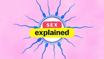 Sex, Explained Season 2
