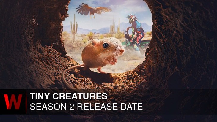 Tiny Creatures Season 2: Release date, News, Cast and Episodes Number